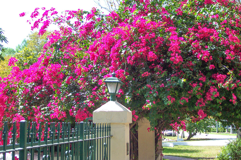 2001, City of Coral Gables