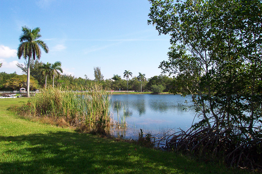  Matheson Hammock