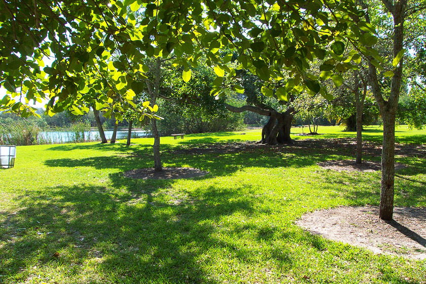  Matheson Hammock